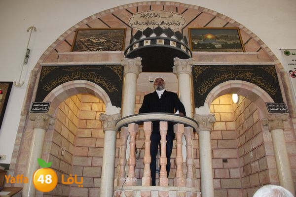 jarhoshuy msajed 0110 (76).JPG